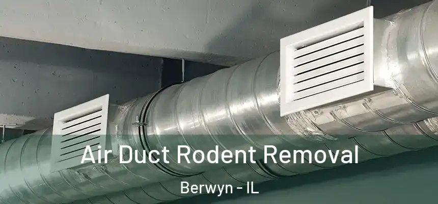  Air Duct Rodent Removal Berwyn - IL