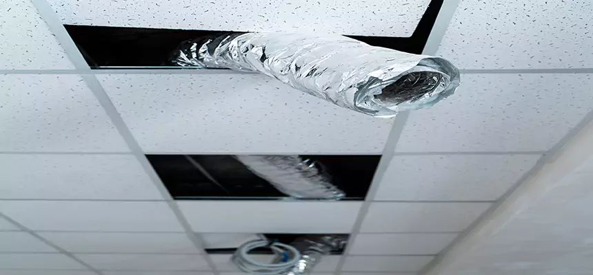 Our Air Duct Pet Hair Removal Services in Berwyn, IL