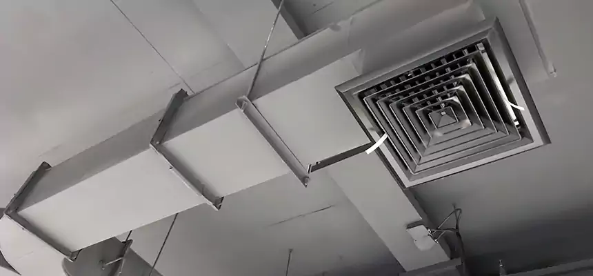 Restorative Allergy Relief Vent Cleaning – Coil, Blower & Housing Detail in Berwyn