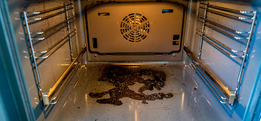 Our Dryer Vent Mold Cleaning Services in Berwyn, IL