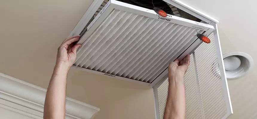 Our Insect Removal from Air Ducts Services in Berwyn, IL