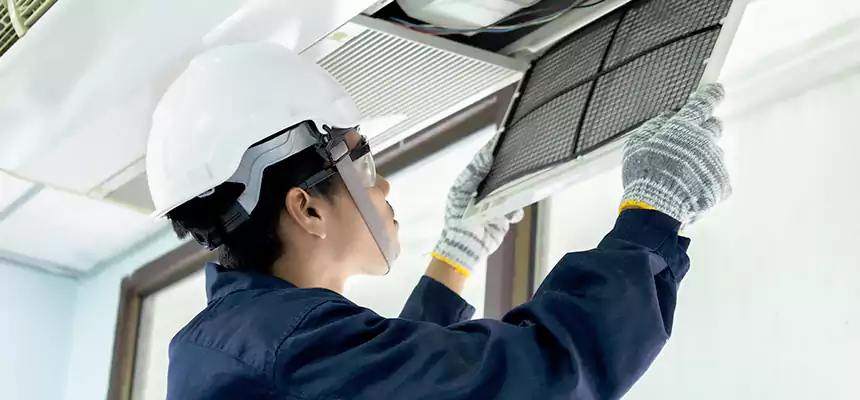 Our Mold & Mildew Removal from Air Ducts Services in Berwyn, IL