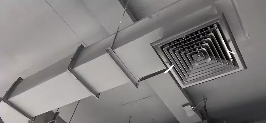 Our Pest Removal From Ducts Services in Berwyn, IL