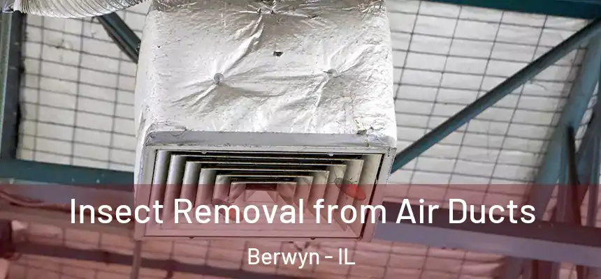  Insect Removal from Air Ducts Berwyn - IL