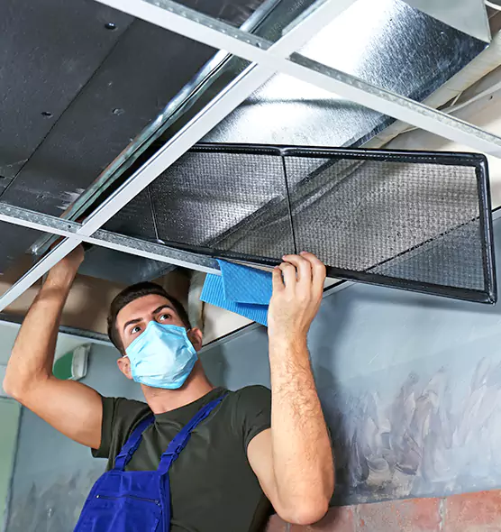 About Air Duct Bacteria Removal in Berwyn