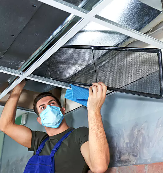 Professional Air Duct Pollen Cleaning in Berwyn, IL