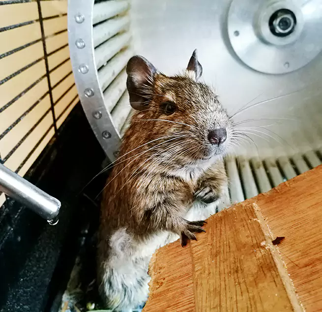 Why Homeowners & Businesses Trust Us Berwyn, IL