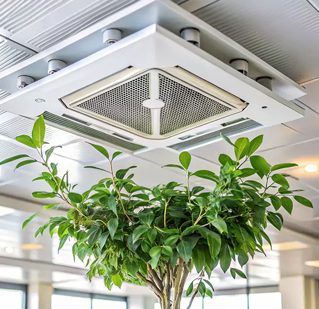 Why Homeowners & Businesses Trust Us in Berwyn, IL