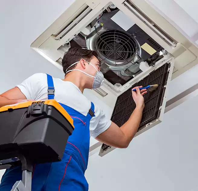 Why Homeowners & Businesses Trust Us in Berwyn, IL?