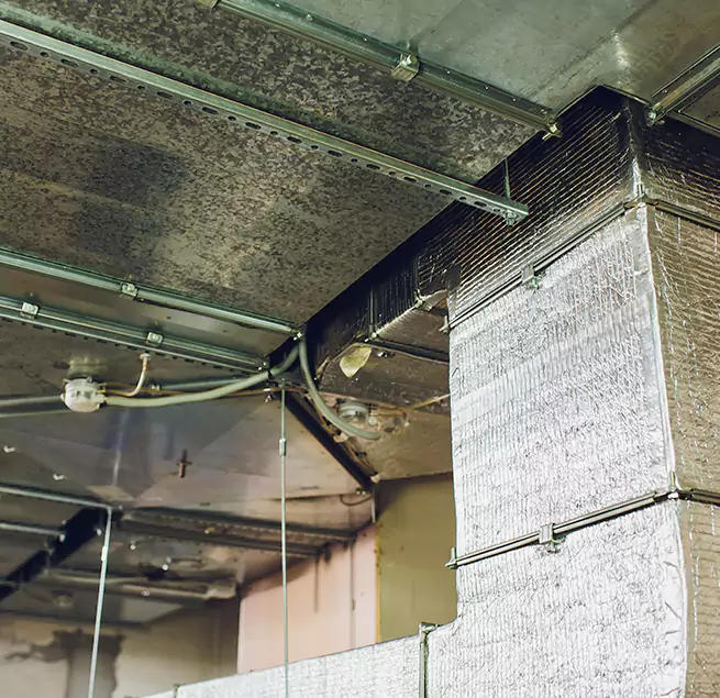 Why Homeowners & Businesses Trust Us in Berwyn, IL?