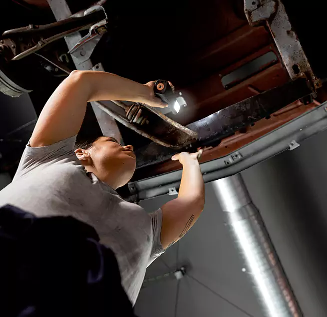 Why Homeowners & Businesses Trust Us Berwyn, IL