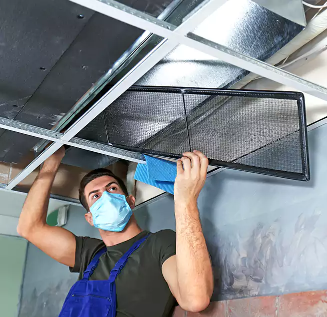 Why Homeowners Businesses Trust Us in Berwyn, IL