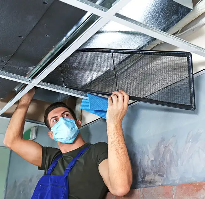 Why Homeowners & Businesses Trust Us in Berwyn, IL?